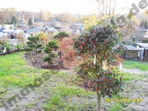 Garten - Teilansicht